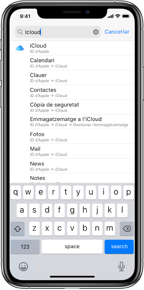 Pantalla de configuració de cerca amb el camp de cerca al capdamunt. Hi ha la paraula de cerca “iCloud” al camp de cerca i els resultats de paràmetres a la llista de sota.