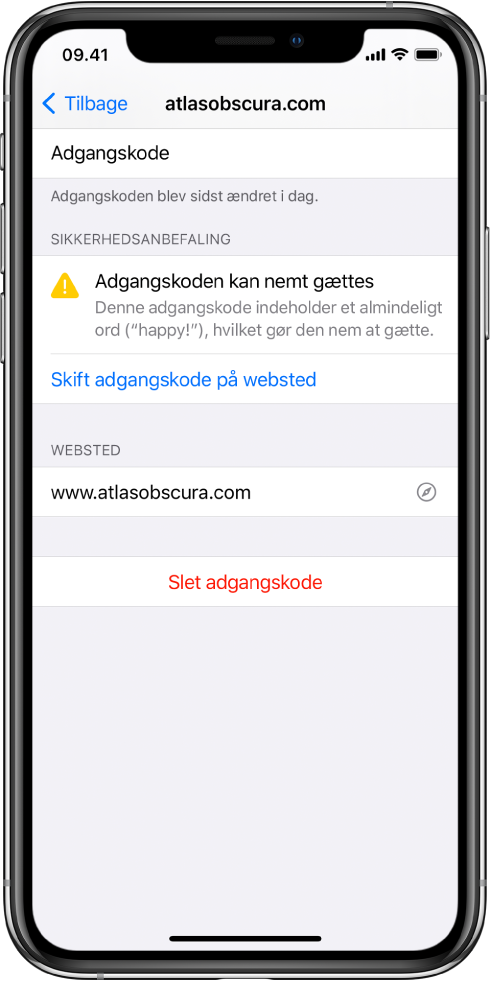 En kontoskærm i indstillingerne til Adgangskoder. En sikkerhedsanbefaling med teksten “Adgangskoden kan nemt gættes. Denne adgangskode indeholder et almindeligt ord, ‘smil!,’ hvilket gør den nem at gætte.” Knappen Skift adgangskode på websted vises under sikkerhedsanbefalingen.