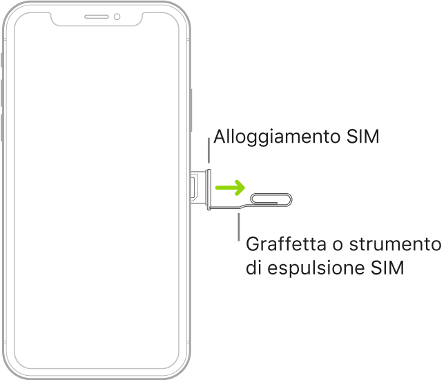Una graffetta o uno strumento per l'espulsione della SIM viene inserito nel piccolo foro dell'alloggiamento sul lato destro di iPhone per espellere e rimuovere l'alloggiamento.