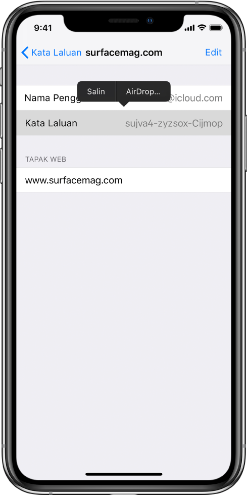 Skrin akaun untuk tapak web. Bahagian kata laluan dipilih dan menu yang mengandungi item Salin dan AirDrop muncul di atasnya.