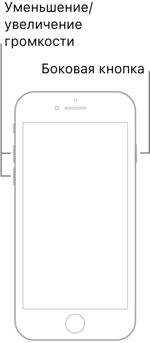 iPhone с кнопкой «Домой», повернутый экраном вверх. На левой стороне устройства показаны кнопки увеличения и уменьшения громкости, а на правой стороне показана боковая кнопка.