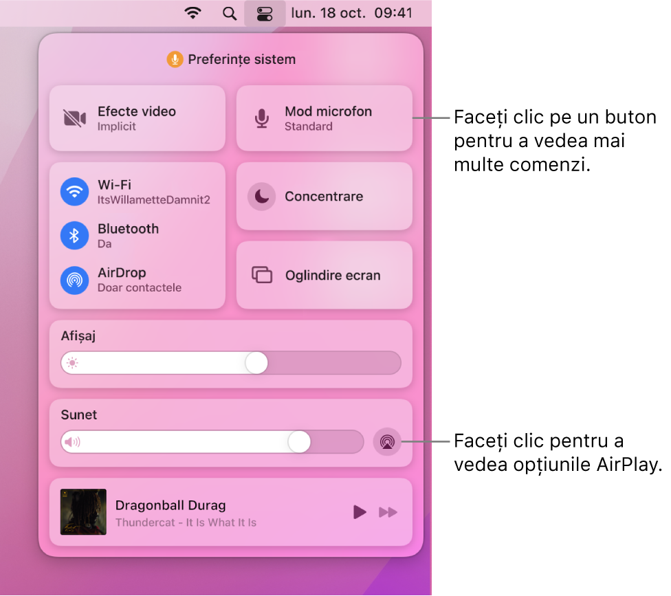 Vizualizare mărită a centrului de control de pe Mac.