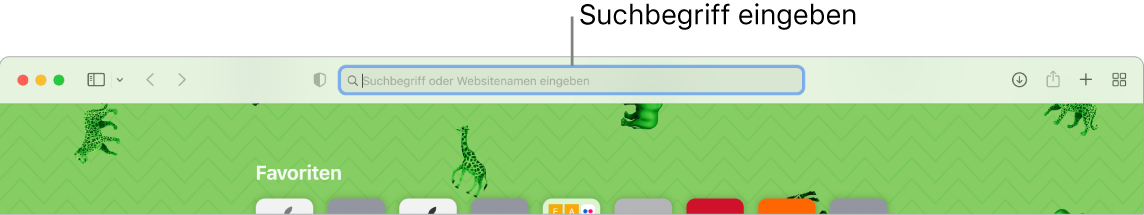 Ein abgeschnittenes Safari-Fenster mit dem Suchfeld oben im Fenster