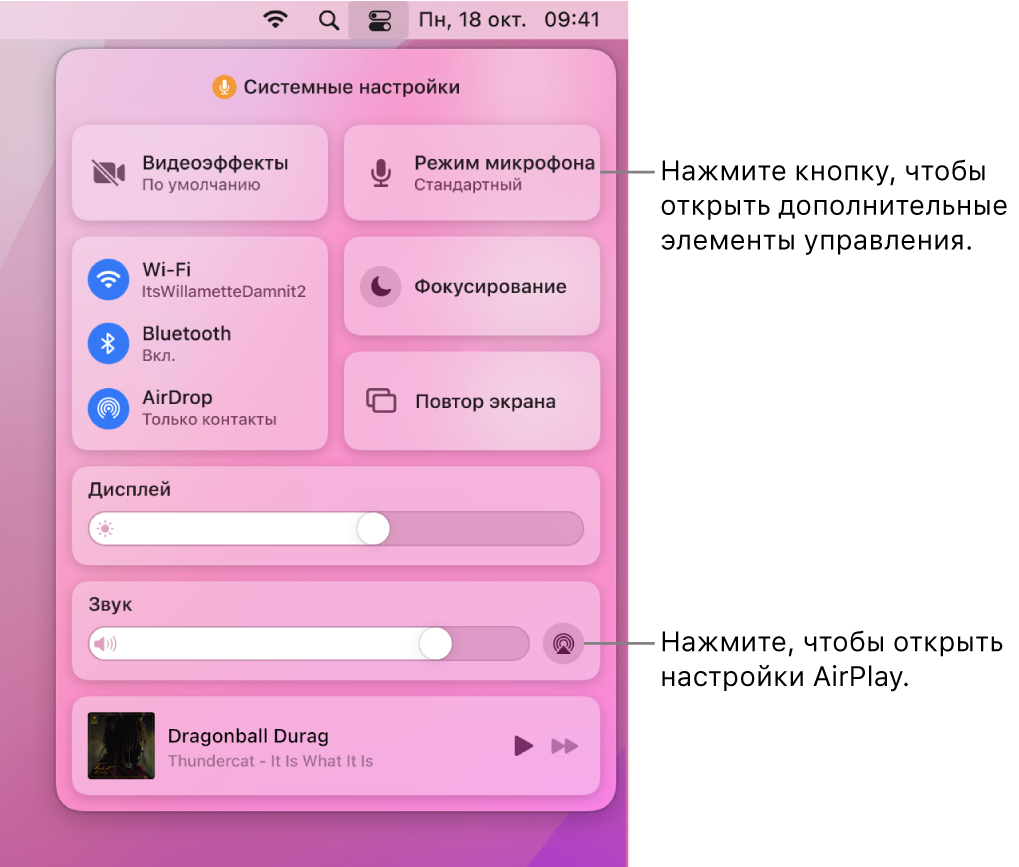 Увеличенное изображение Пункта управления на Mac.