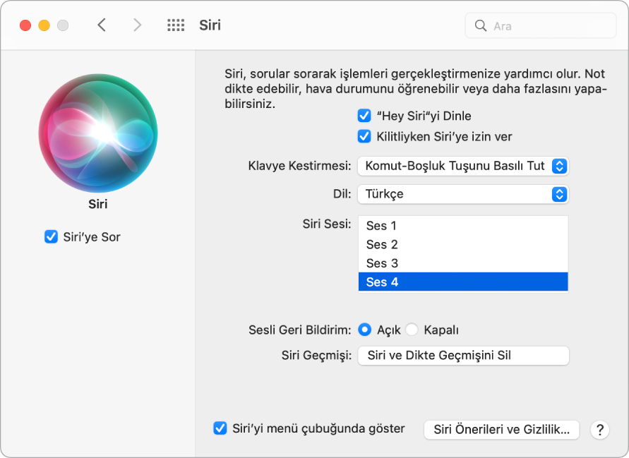 Sol tarafta Siri’ye Sor’u Etkinleştir seçili halde olan ve sağ tarafta “‘Hey Siri’yi Dinle” gibi çeşitli Siri’yi özelleştirme seçenekleri bulunan Siri tercihleri penceresi.
