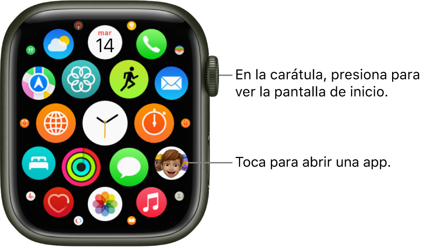 Pantalla de inicio con la visualización como cuadrícula en el Apple Watch, con apps en un grupo. Toca una app para abrirla. Arrastra para ver más apps.