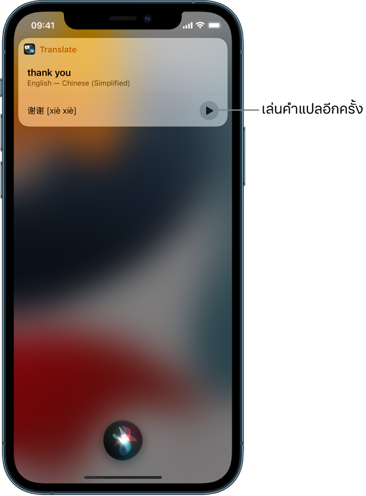 Siri จะแสดงคำแปลของวลีภาษาอังกฤษ “ขอบคุณ” เป็นภาษาจีนกลาง ปุ่มที่อยู่ทางด้านขวาของคำแปลจะเล่นเสียงคำแปลอีกครั้ง