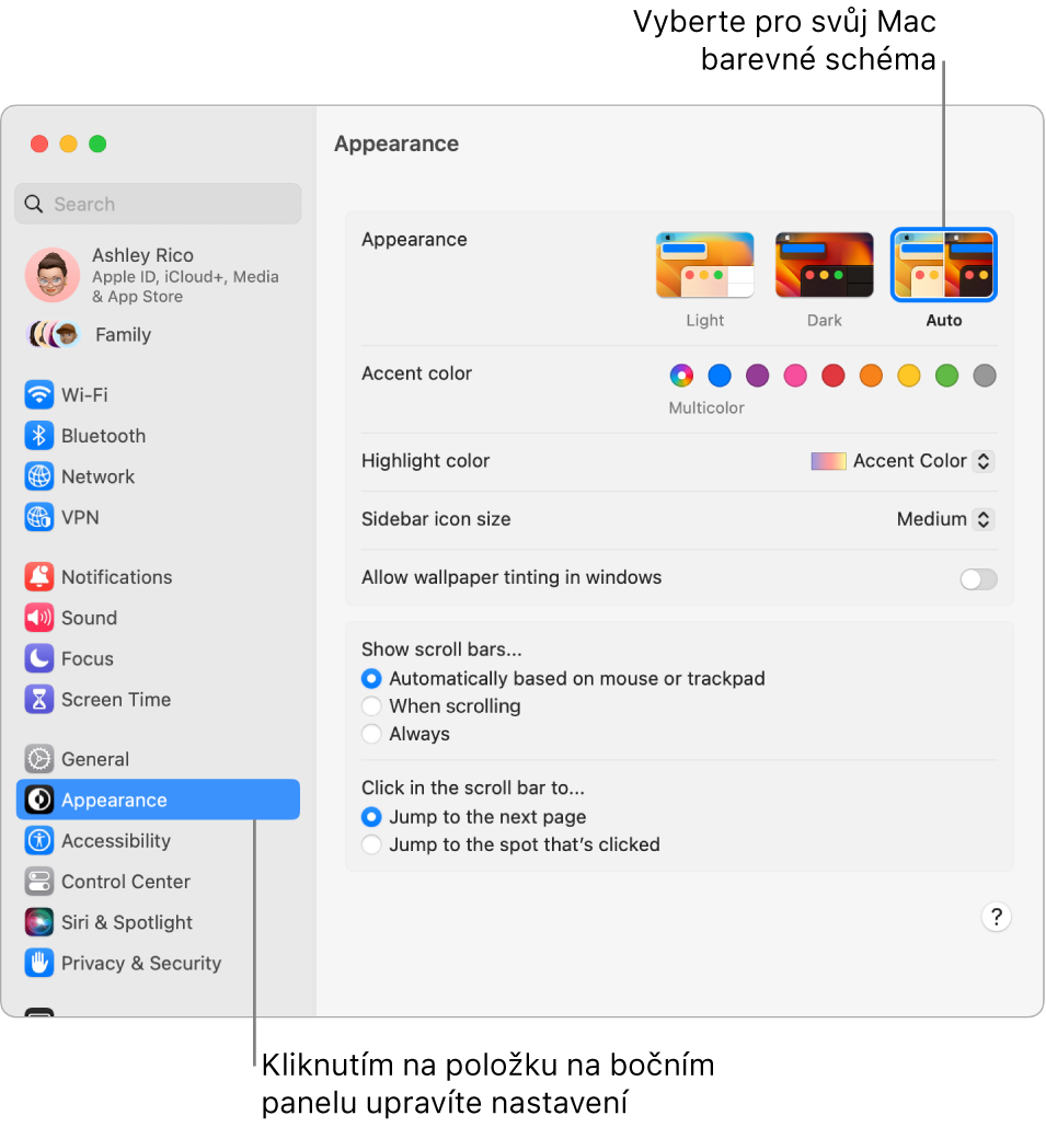 Panel Vzhled v Nastavení systému
