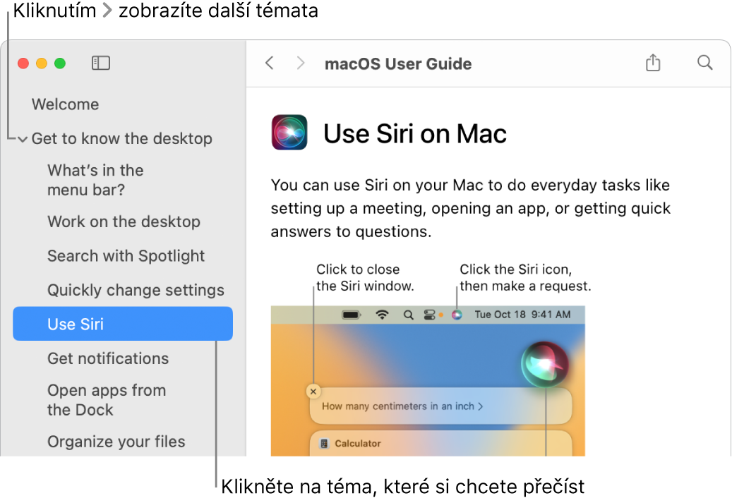 Prohlížeč nápovědy s informacemi o tom, jak zobrazit témata uvedená na bočním panelu a jak otevřít obsah tématu