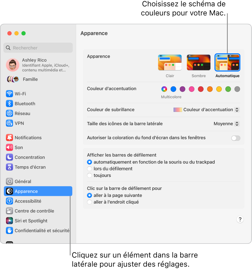 Fenêtre Apparence dans « Réglages Système ».