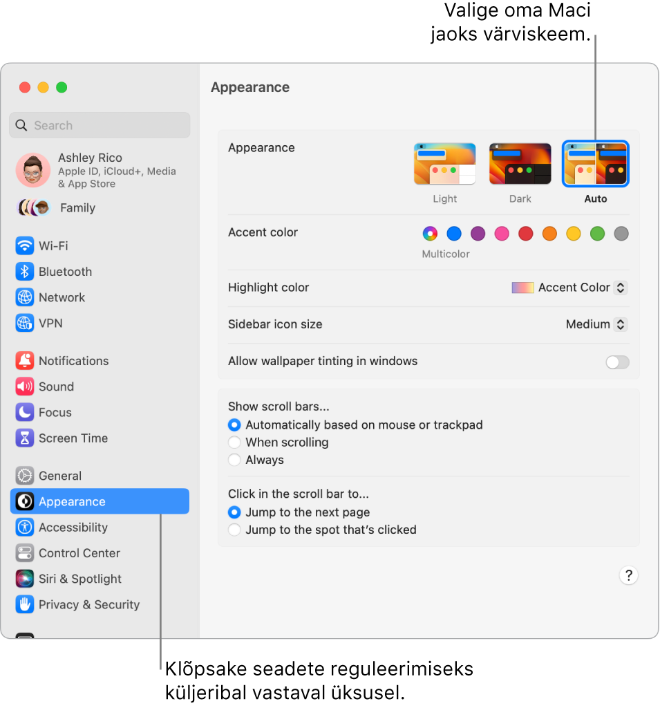 Jaotise System Settings aken Appearance.