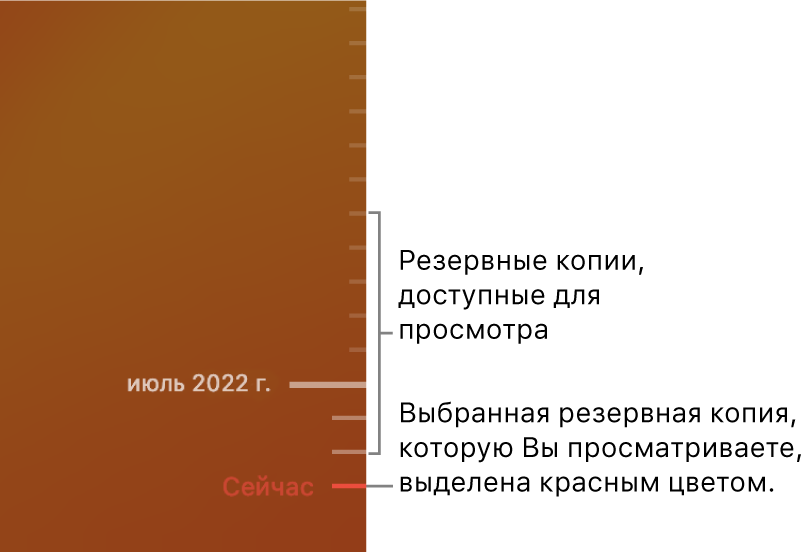 График резервного копирования Time Machine.