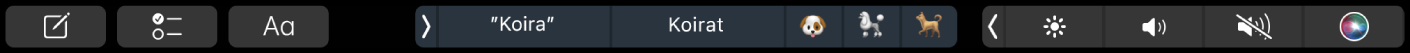 Muistiinpanojen Touch Bar, jossa painikkeet uuden muistiinpanon luomiseen, tarkistuslistan lisäämiseen ja tekstin muokkaamiseen. Siinä on myös painikkeita, joissa näkyy kirjoitusehdotuksia.