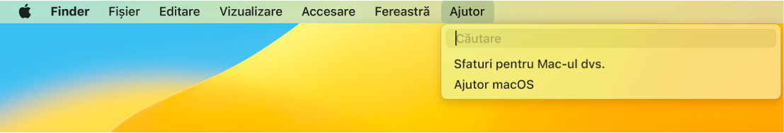 O parte din desktop cu meniul Ajutor deschis, afișând opțiunile de meniu Căutare și Ajutor macOS.
