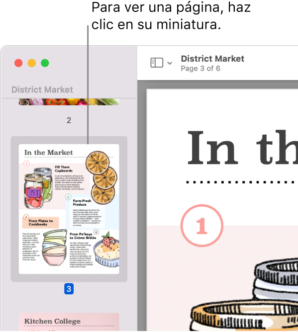 Un archivo PDF con miniaturas en la barra lateral.