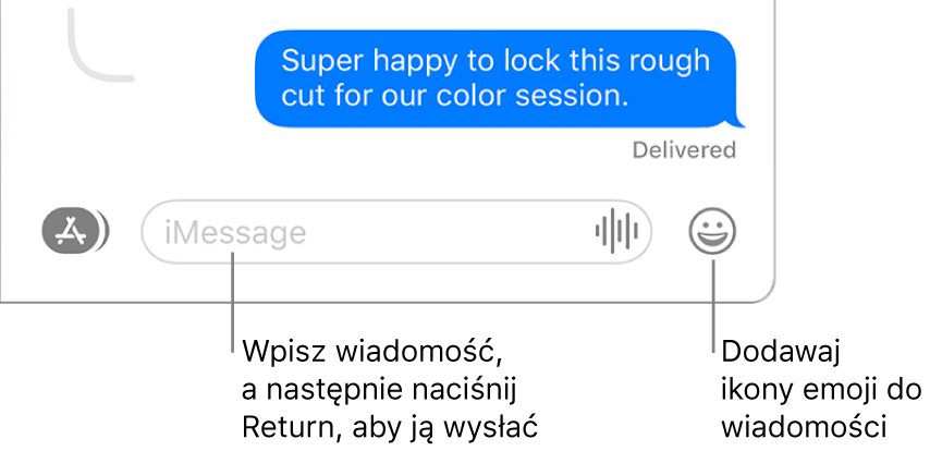 Zapis rozmowy w oknie aplikacji Wiadomości. Na dole okna widoczne jest pole wiadomości.