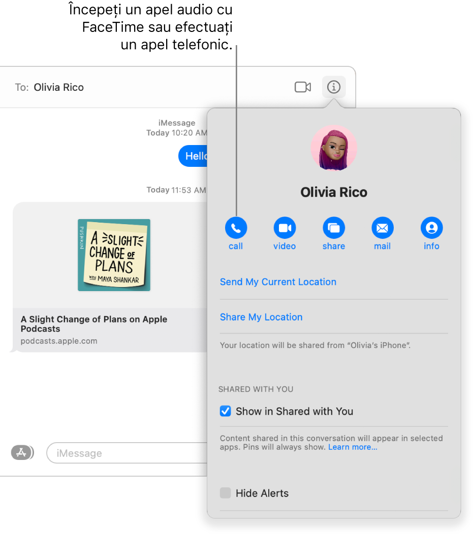 Vizualizarea Detalii care apare după ce faceți clic pe butonul Detalii în cadrul unei conversații. Utilizați butonul de apelare din stânga pentru a începe un apel audio FaceTime sau pentru a efectua un apel telefonic.
