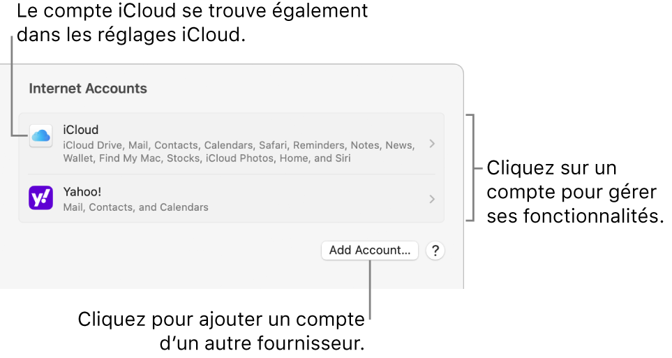 Les réglages « Comptes Internet » avec une liste des comptes configurés sur le Mac.