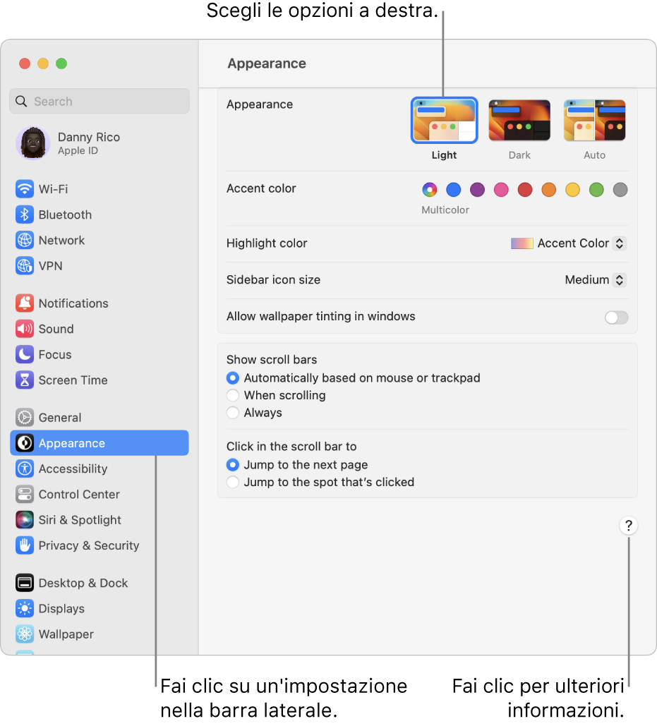 La finestra Impostazioni di Sistema, con le impostazioni Aspetto selezionate nella barra laterale e le opzioni Aspetto sulla destra.