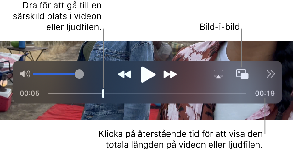 Uppspelningsreglage i QuickTime Player. Längs överkanten finns volymreglaget, knappen för bakåtspolning, knappen för uppspelning/paus, knappen för framåtspolning, knappen för att välja en skärm, knappen för bild-i-bild, delningsknappen och knappen för uppspelningshastighet. Längst ned finns uppspelningshuvudet som du kan dra i för att gå till en viss plats i filen. Den återstående tiden i filen visas i det nedre högra hörnet.