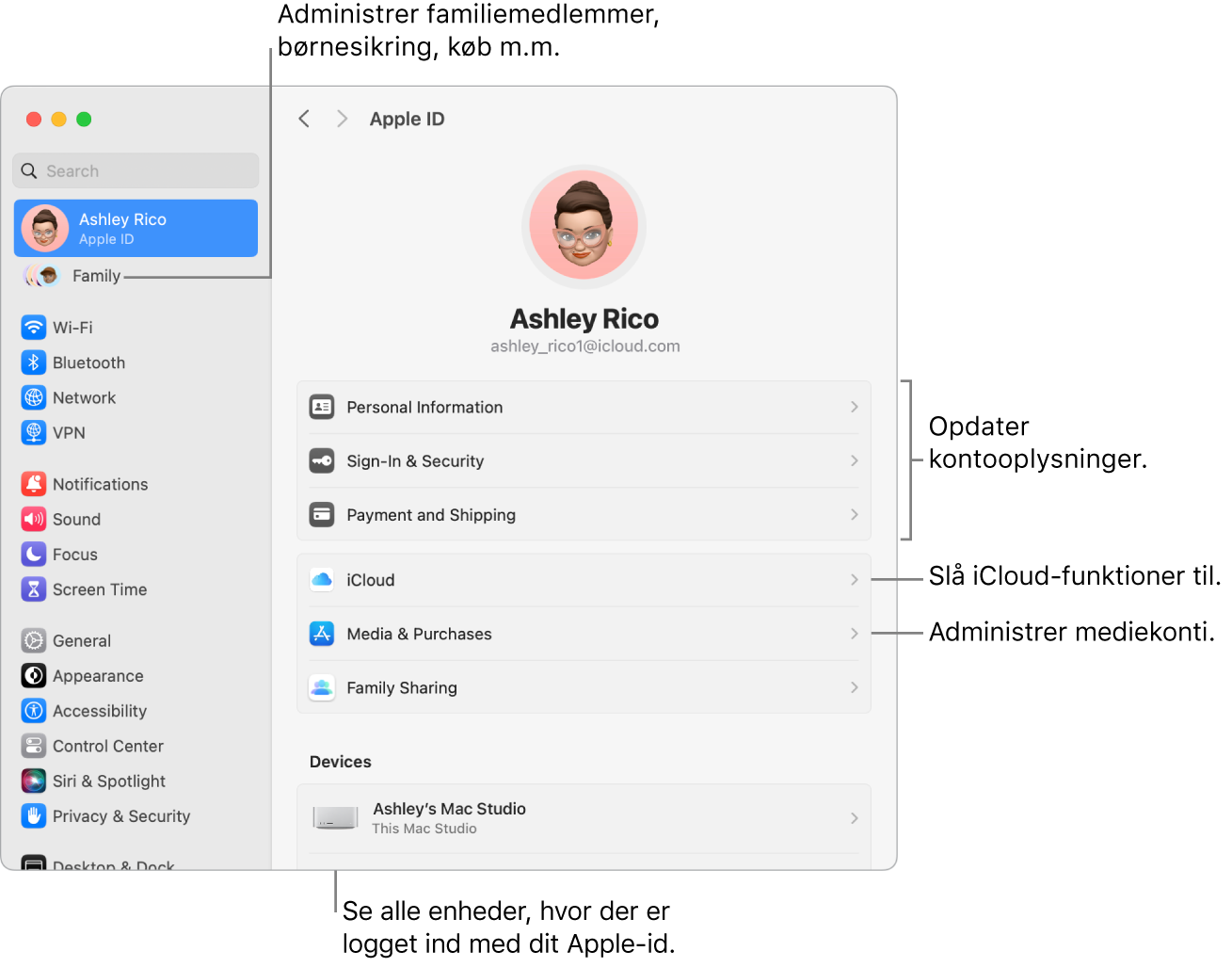 Indstillingerne til Apple-id i Systemindstillinger med billedforklaringer til at opdatere kontooplysninger, slå iCloud-funktioner til og fra, administrere mediekonti samt Familie, hvor du kan administrere familiemedlemmer, børnesikring, køb m.m..