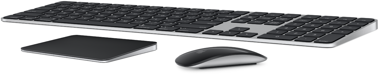 Touch ID және Numeric Keypad тақтасы бар Magic Keyboard пернетақтасы, Magic Trackpad және Magic Mouse.