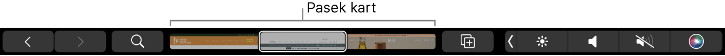 Pasek Touch Bar w Safari z przyciskami: przejścia dalej i wstecz, wyszukiwania, paska kart oraz dodawania zakładki.