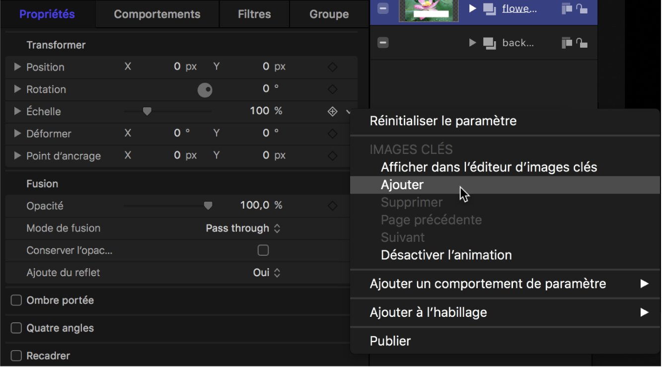 Menu contextuel « Ajouter une image clé » dans l’inspecteur