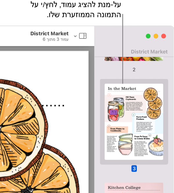 PDF עם תמונות ממוזערות מוצג בסרגל הצד.