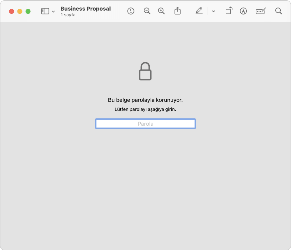 Dosyayı açmak üzere parolayı girmek için bir kilit simgesi ve bir metin alanı gösteren parola korumalı bir PDF.