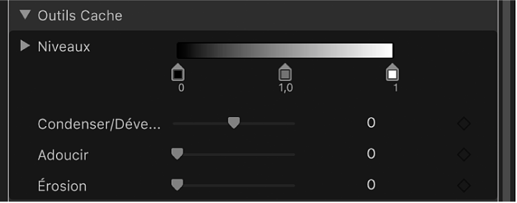 Commandes des outils Cache du filtre « Incrustateur de fond vert »