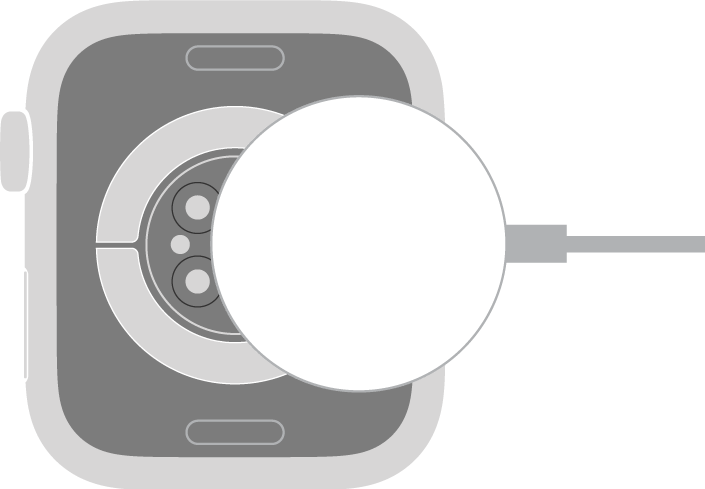 ปลายสายชาร์จเร็วแบบแม่เหล็กเป็น USB-C สำหรับ Apple Watch ด้านที่เว้าจะยึดกับด้านหลังของ Apple Watch ด้วยแม่เหล็ก