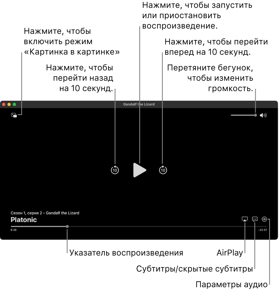 Элементы управления воспроизведением в окне просмотра, в том числе кнопки для начала и приостановки воспроизведения, перемотки вперед или назад и настройки громкости.