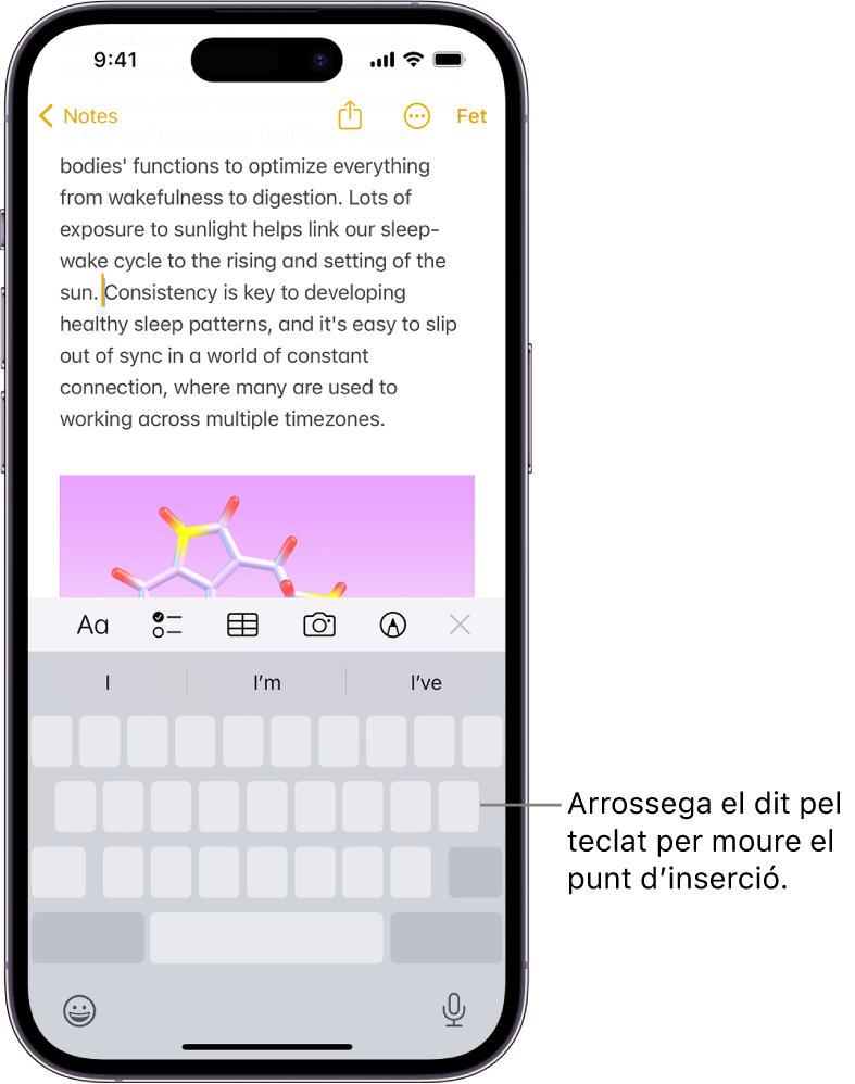A l’app Notes hi ha un document obert. A la meitat inferior de la pantalla hi ha el teclat en mode de trackpad.