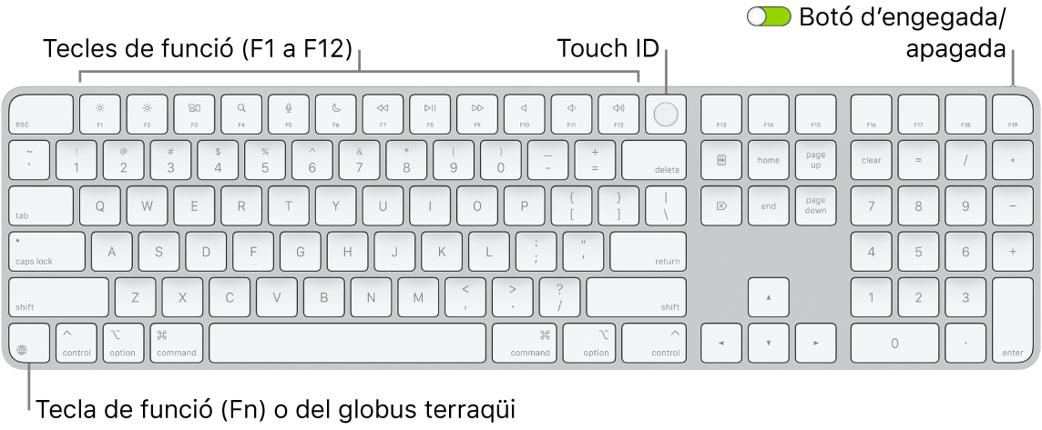 Un Magic Keyboard amb Touch ID i teclat numèric, en què es veu la filera de tecles de funció amb el Touch ID a la part superior i la tecla de funció (Fn) o del globus terraqüi a la dreta de la tecla Eliminar.