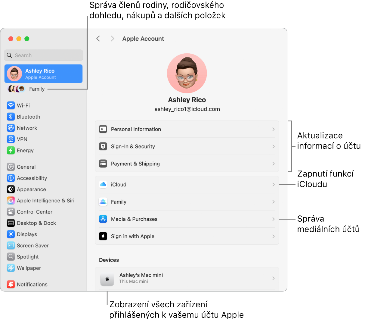 Volby účtu Apple v Nastavení systému s popisky u ovládacích prvků pro aktualizaci informací o účtu, zapnutí nebo vypnutí různých funkcí iCloudu a správu účtů pro média a u volby Rodina, která vám umožňuje spravovat členy rodiny, rodičovský dohled, nákupy a další položky.