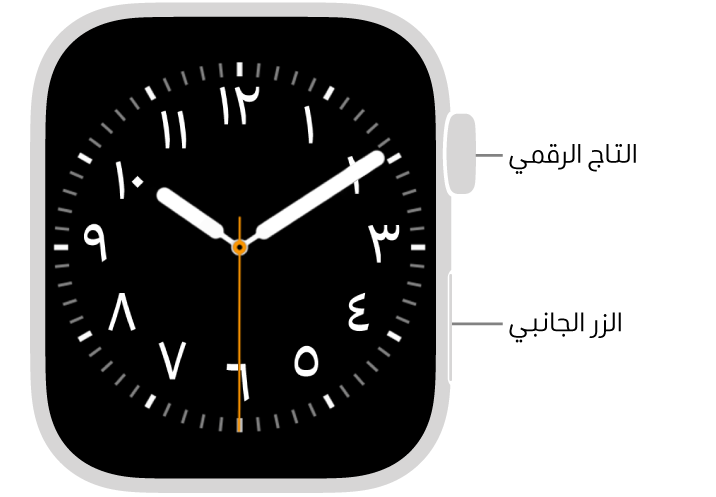 الجزء الأمامي من Apple Watch، ويظهر التاج الرقمي في الجزء العلوي على الجانب الأيسر من الساعة والزر الجانبي في أسفل اليسار.
