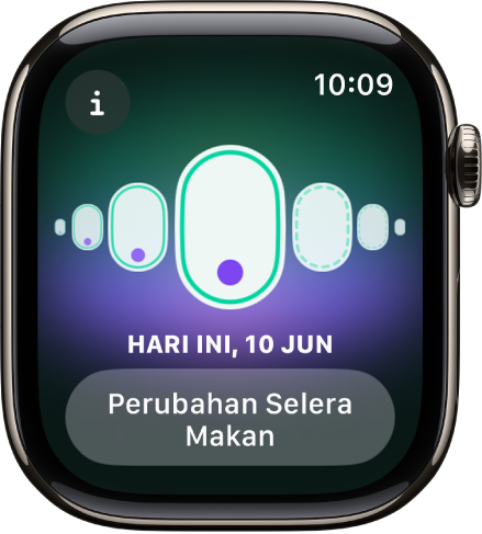 Skrin Penjejakan Kitaran.