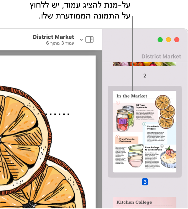PDF עם תמונות ממוזערות מוצג בסרגל הצד.
