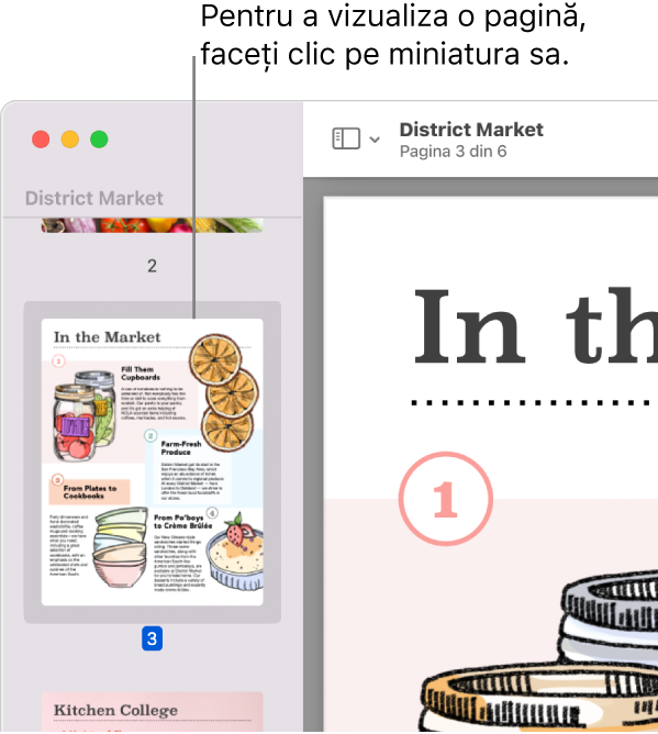 Un PDF cu miniaturi afișate în bara laterală.