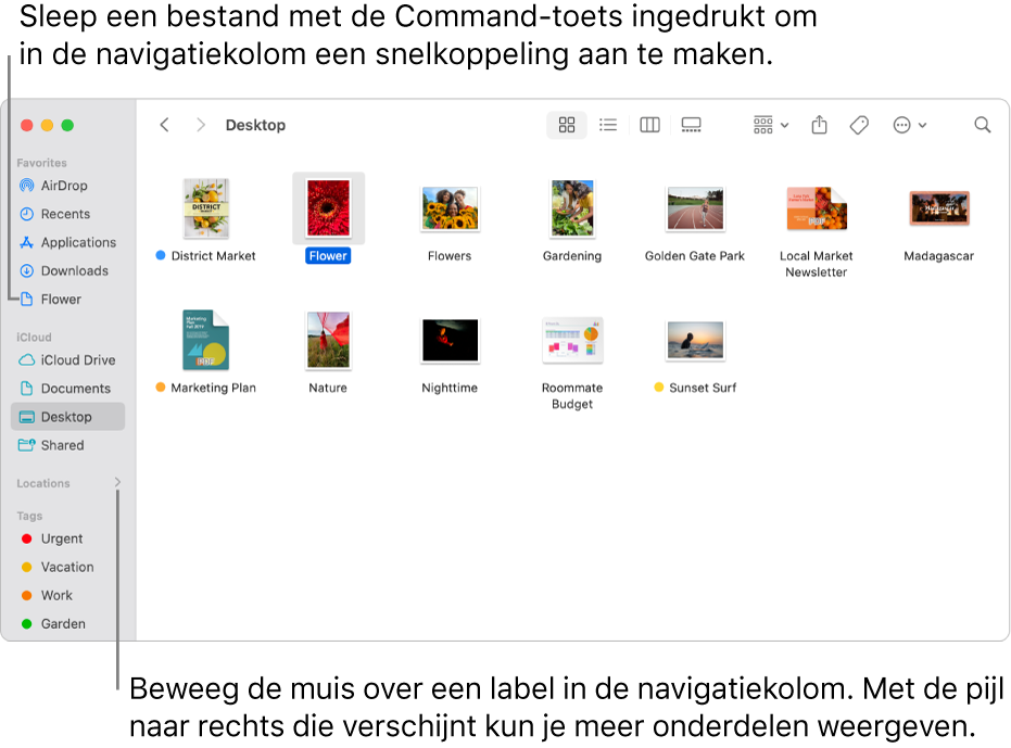 Rechts van 'Locaties' in de Finder-navigatiekolom kun je op een pijl klikken om meer onderdelen weer te geven. In het Finder-venster aan de rechterkant is een bestand geselecteerd en in de navigatiekolom zie je onder 'Favorieten' een snelkoppeling naar het bestand.