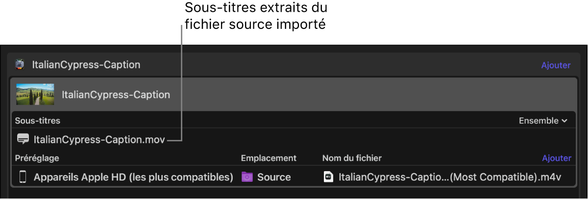Zone du lot de Compressor affichant un fichier de sous-titres extrait du fichier vidéo source.