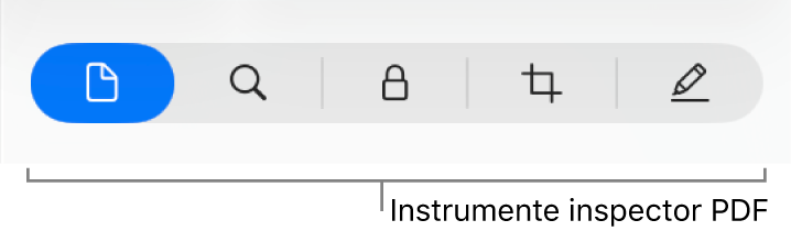 Instrumentele inspectorului PDF.