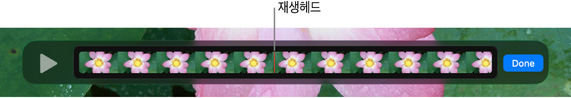 QuickTime Player 윈도우에 표시된 클립, 중앙 근처에 재생헤드가 표시되어 있음.