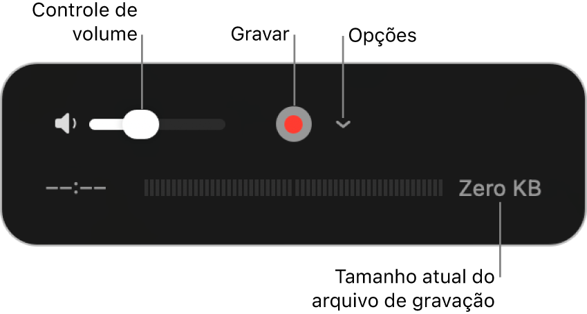 Os controles de gravação, incluindo o controle de volume, o botão Gravar e o menu local Opções.