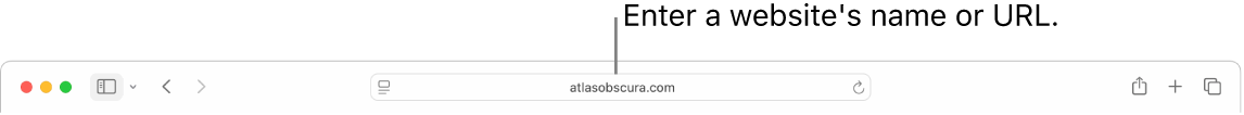 The Safari Smart Search field, where you can enter a website’s name or URL.