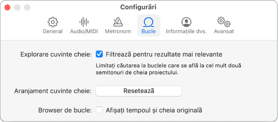 Panoul Configurări Bucle.