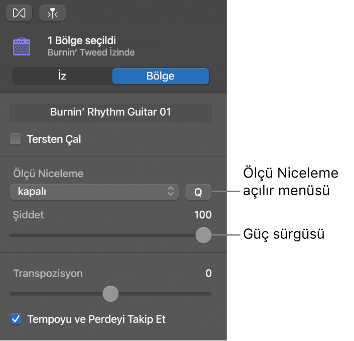 Ölçü Niceleme açılır menüsünü ve Şiddet sürgüsünü gösteren Ses Düzenleyici denetçisi.