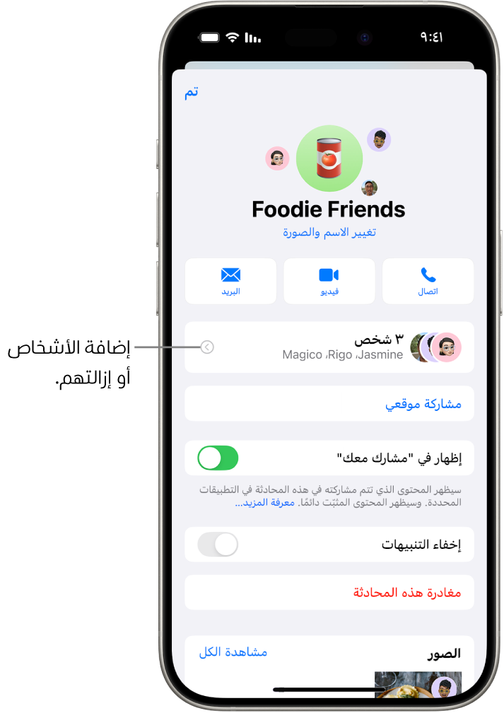 تفاصيل المحادثة لمجموعة ما.