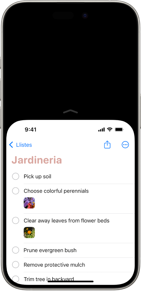Pantalla de l’iPhone amb la funció “Fàcil accés” activada. La part superior de la pantalla s’ha mogut cap avall, de manera que ha quedat a l’abast del polze.
